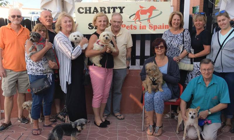 Pets in Spain Christmas Fayre to help look after lots of dogs like Rusty on the Costa Blanca