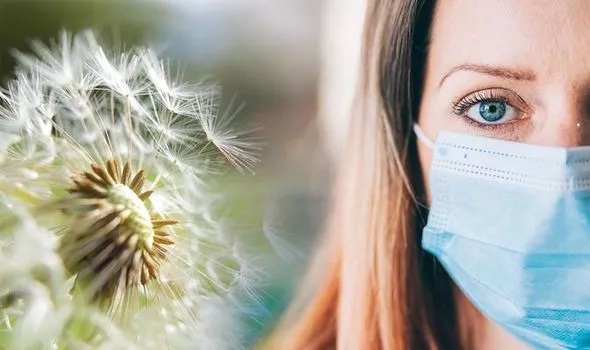 Los niveles de polen son altos en España, pero las mascarillas ayudan a quienes sufren reacciones alérgicas